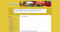 Desktop Screenshot of imrtec.com